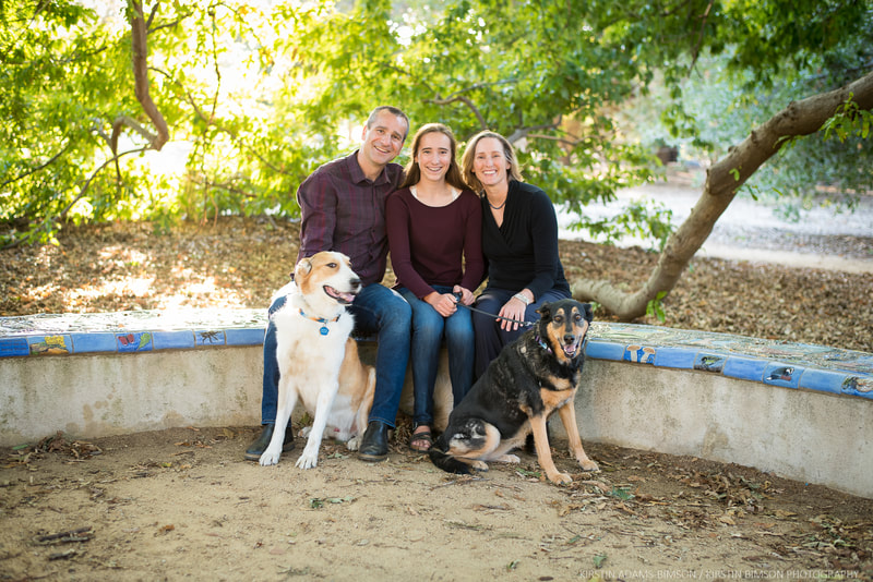 Outdoor family portrait photo with dogs
